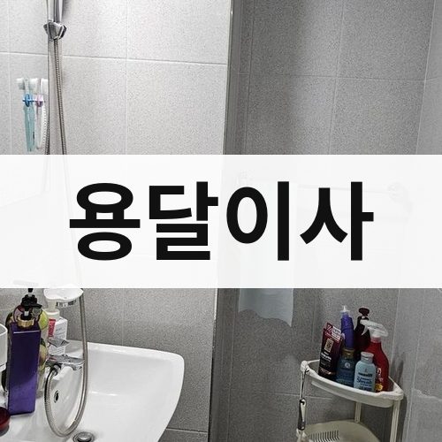 대전·충청 용달이사 포장이사