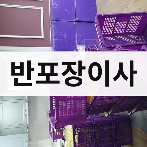 대전·충청 반포장이사 포장이사