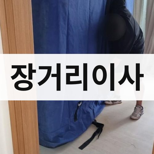 서구 장거리이사 포장이사