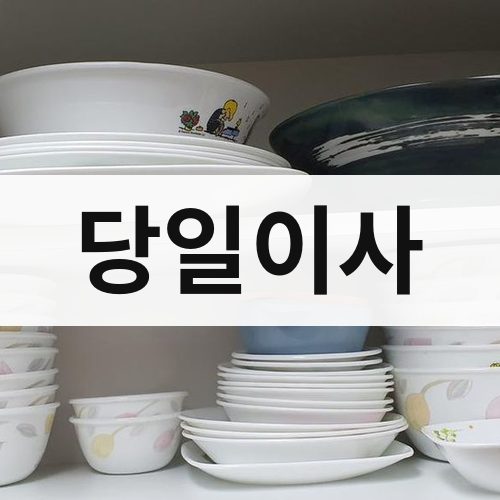 중구 당일이사 포장이사
