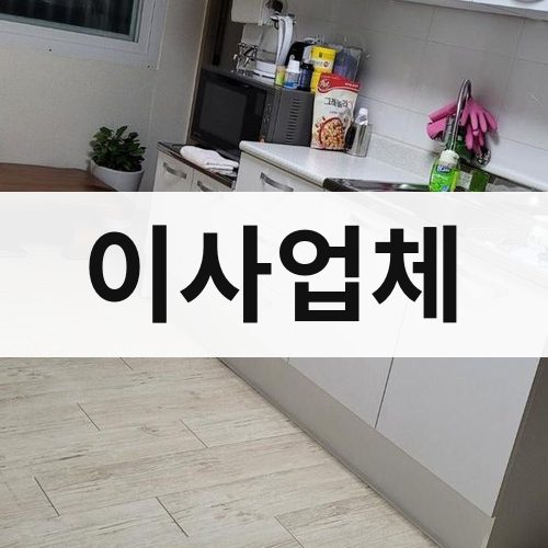대전·충청 이사업체 포장이사